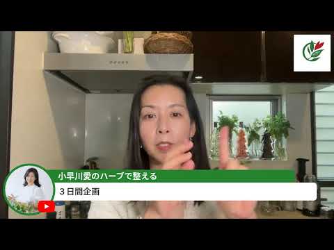 医療ビジネス薬科学科 ハーブ栽培の冬対策