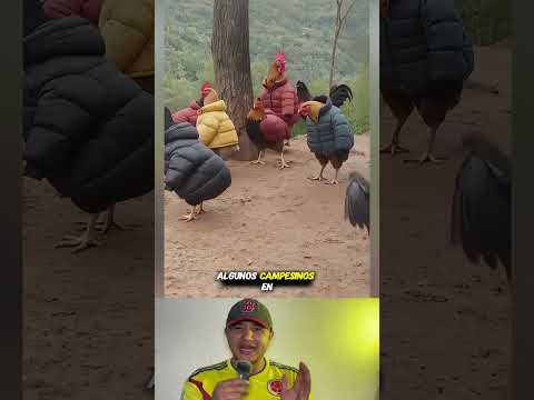 Increíble técnica 😳#shorts #feed #amazing