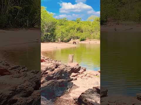 Lago Corumbá IV em Alexania-Goiás