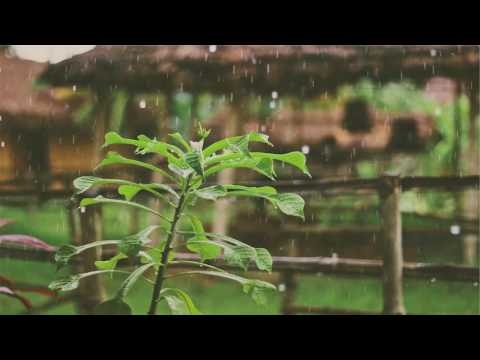 download lagu mp3 mp4 Ondas Theta Binaural, download lagu Ondas Theta Binaural gratis, unduh video klip Download Ondas Theta Binaural Mp3 dan Mp4 Popular Gratis