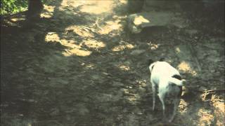 Moor Hound - You And Rea