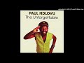Paul Ndlovu Tsakane