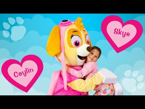 Ceylin & Skye - Head Shoulders Knees and Toes - Finger Family - Are You Sleeping Songs Learn Colors