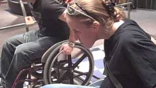 2008 Nov 29 Saturday : Washing Mister Kitty, D&D, Star Trek Exhibition