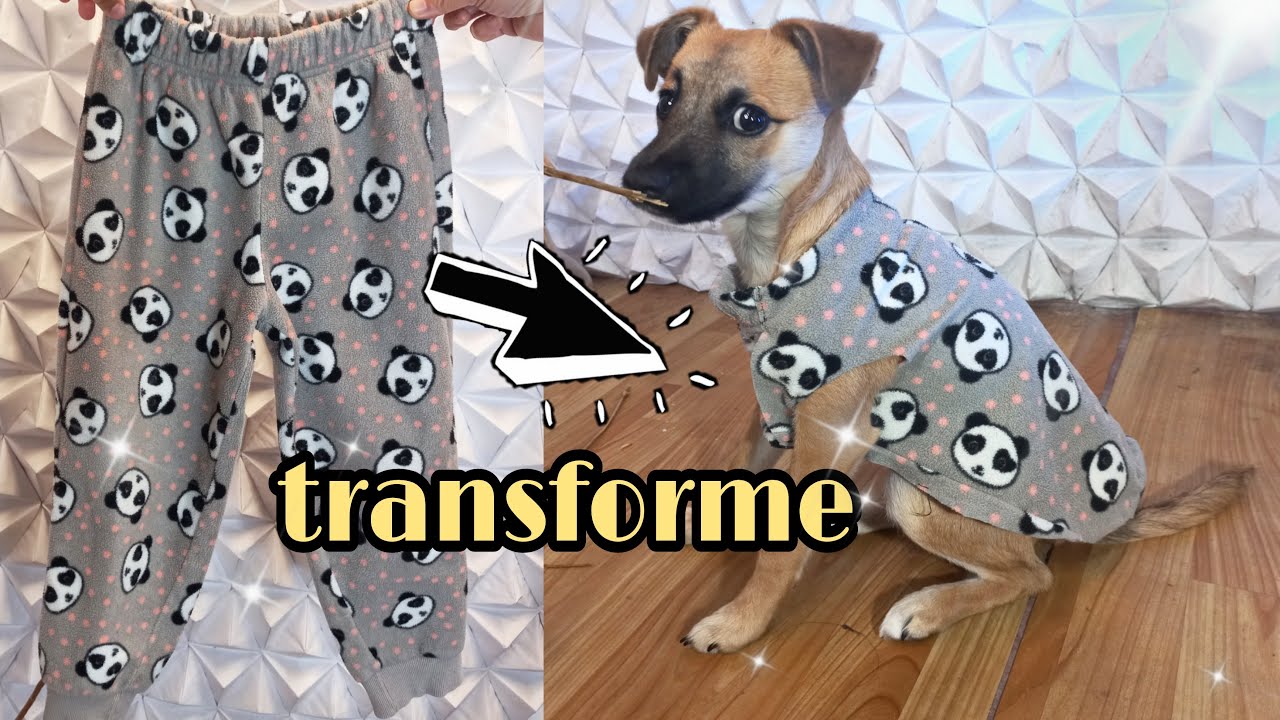 CALÇA INFANTIL VIRA ROUPA PARA CACHORRO #roupaparacachorro #diyroupas #costura  #moda
