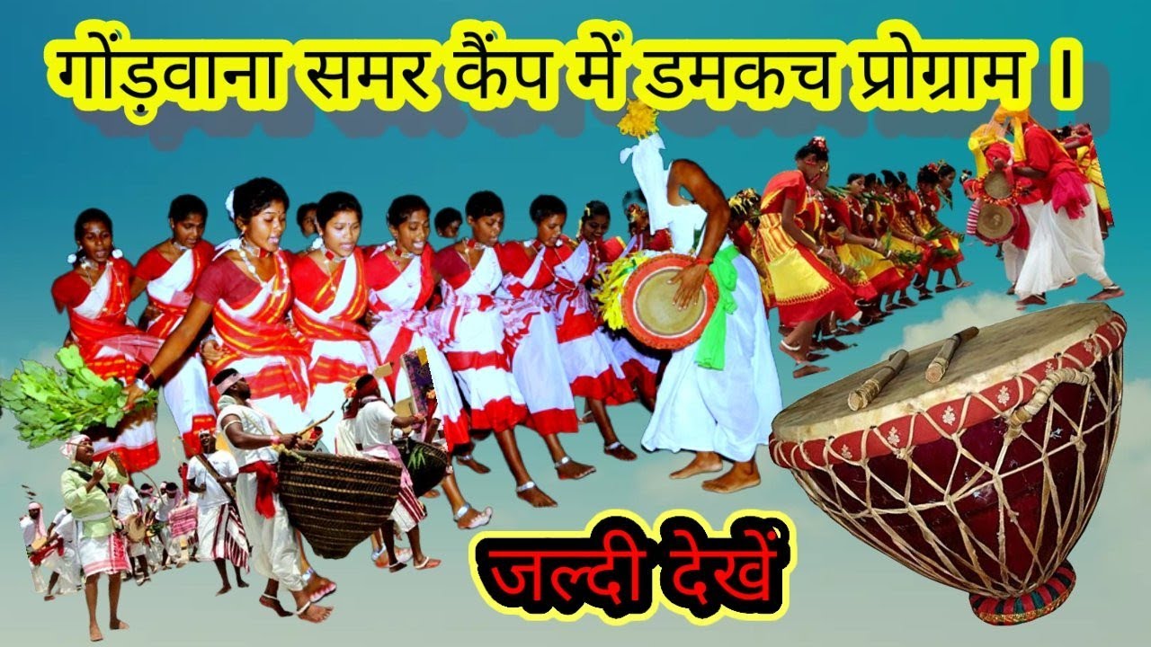 गोंड़वाना समर कैंप में कोनसकेली गाँव के नारी शक्ति के द्वारा डमकच गीत के साथ सांस्कृतिक कार्यक्रम💃🕺🤸