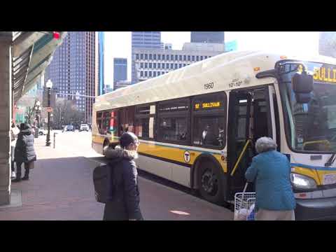 Buses in Boston, MA, USA 2020 (one week before COVID)