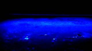 neons zem mašīnas - www.sekom.lv