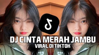 Download lagu DJ CINTAKU HANYA KAMU AHH... DJ CINTA MERAH JAMBU VIRAL DI TIKTOK mp3