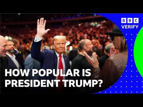 How popular is US President Donald Trump? | BBC News