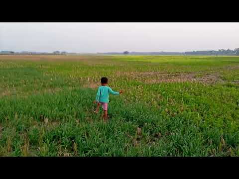 viral  video nazmul Hussain his kushtia 