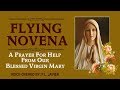 FLYING NOVENA - A PRAYER FOR HELP FROM OUR BLESSED VIRGIN MARY