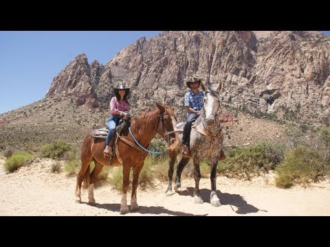 Morning Maverick Horseback Ride
