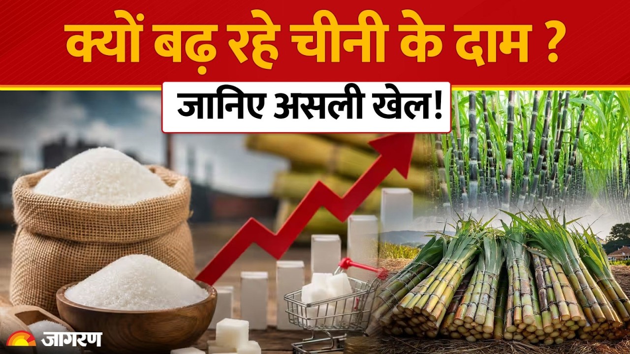 Sugar Price Hike : चीनी के दाम बढ़ने की वजह क्या है? Real Reasons Behind Sugar Price Hike। Ethanol