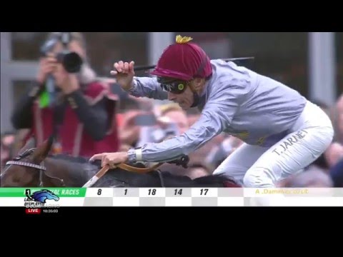 2014 Qatar Prix de l'Arc de Triomphe G1 - TREVE
