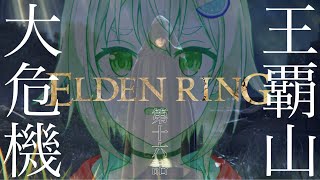 [法環] 看過最久是多久打過女武神