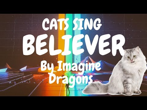 Cats Sing Believer by Imagine Dragons | Cats Singing Song