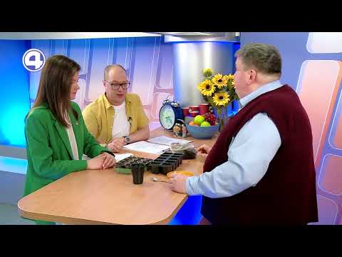 ПОРА САДИТЬ РАССАДУ! Как вырастить хороший урожай?