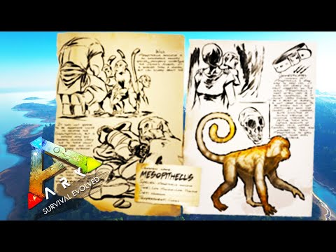 COMO DOMESTICAR UN MESOPITHECUS/ ARK SURVIVAL EVOLVED