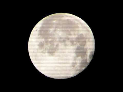 Tropical Night │ Natural Sounds #naturalsounds