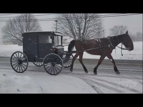 02-07-2021 Fleetwood,PA Amish Horse & Buggy Action,Residents Clearing Sidewalks & Snow Plow Action