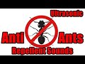 Anti Ants Repellent Sounds - Sound To Repel Ants  #ChaseAntsAway #AntiAnts