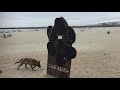 The best dog park in California Dog Beach San Diego. AWEsome Adventures AWE