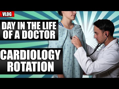 A Day in the Life of a Doctor (Cardiology)