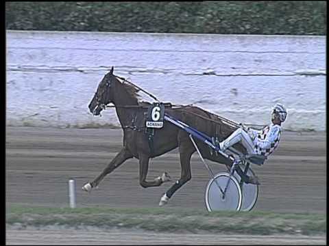 Trotto 17/04/2016 - 5° Corsa