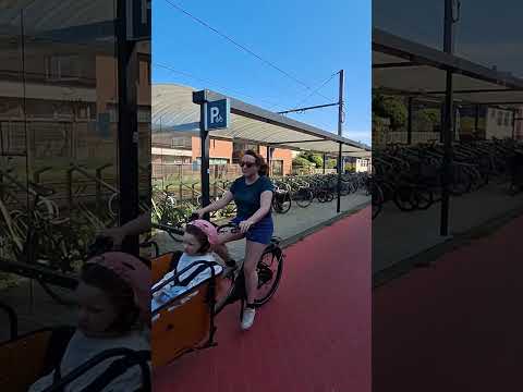 F4 Sint-Niklaas met Antwerpen fietssnelweg de snelle verbinding