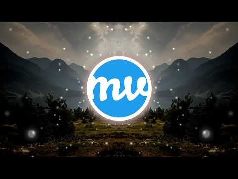 Locals Only Sound & lentra - Car