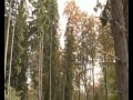 Parintele Paisie Olaru Duhovnivul