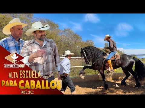 ENTRENABAN LOS CABALLOS DE VICENTE FERNÁNDEZ y hoy pueden entrenar los de usted