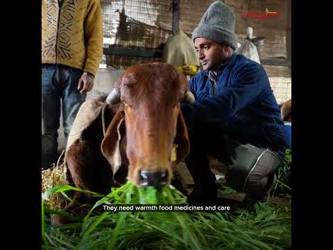 About Krishnayan Video Thumbnail