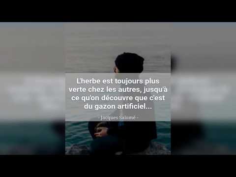 Proverbes De La Vie En Images Video
