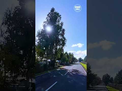 Paisajes de la Araucanía: Lautaro a Perquenco 🏔️