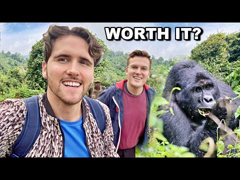Highlights of Uganda