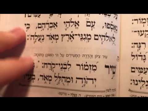 תהלים פרק מח׳ Tehilim perek 48 Psalms chapter 48 שיר מזמור לבני קרח