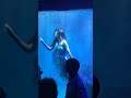 கடல் கன்னி Mermaid In Coimbatore Fish Aquarium Exhibition Zerothview Music Hallowe