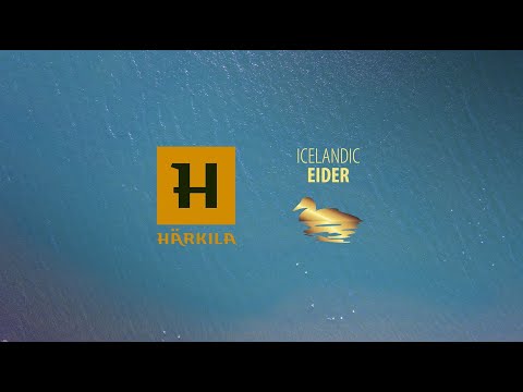 Härkila x Icelandic Eider: Unveiling the Splendour of Eiderdown