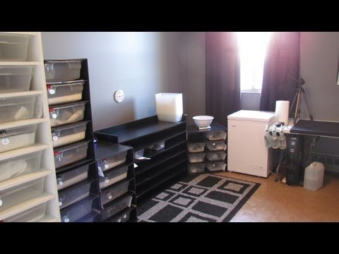 COLLECTION UPDATE PART 2...And new snake room!!