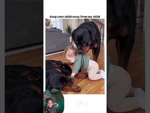 😆🦮dog ne bacchon ko uthaya funny video😃 #shots #funny #trending