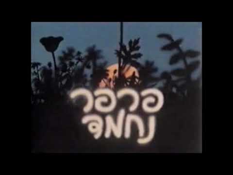 "Shalom" song [Live A Cappella] - (PARPAR NECHMAD)