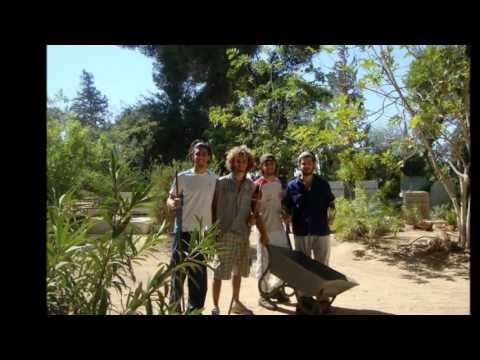 Shnat 2011 - Chazit Hanoar