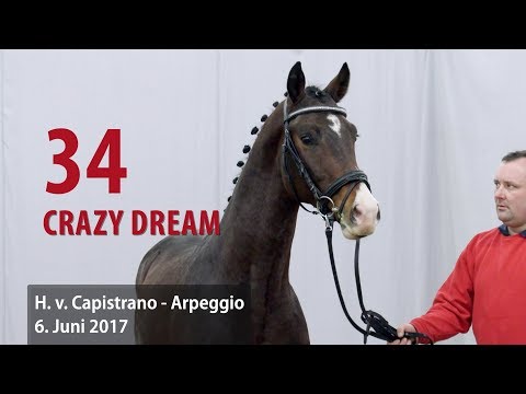 34 Crazy Dream Hengst v. Capistrano - Arpeggio