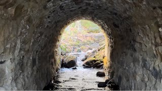 1884 Loyalsock railroad culvert. Part of the LV railroads Bowman’s Creek Branch. Sullivan County PA.