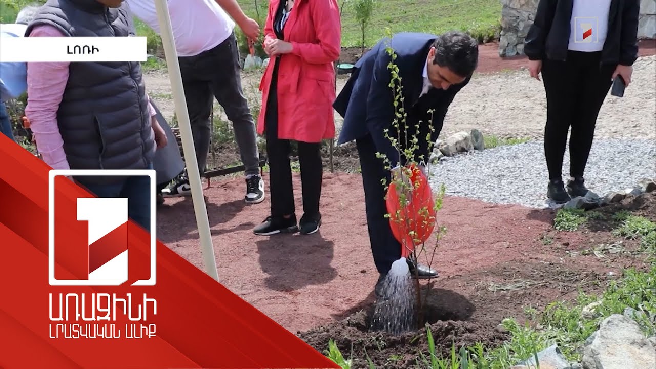 Լոռու մարզում նոր անտառներ կհիմնվեն