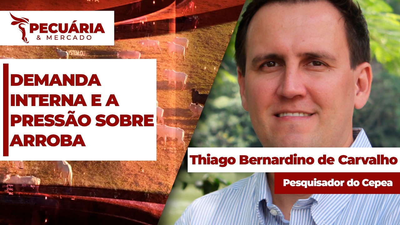 Desajuste entre oferta e demanda vai promover pressão sobre arroba do boi ao longo de Julho