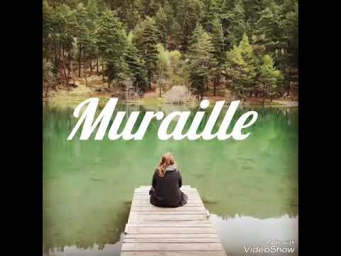 Evan Marco_Tomber Amoureux (Sysy 873 & SpliiF Remix 2018)