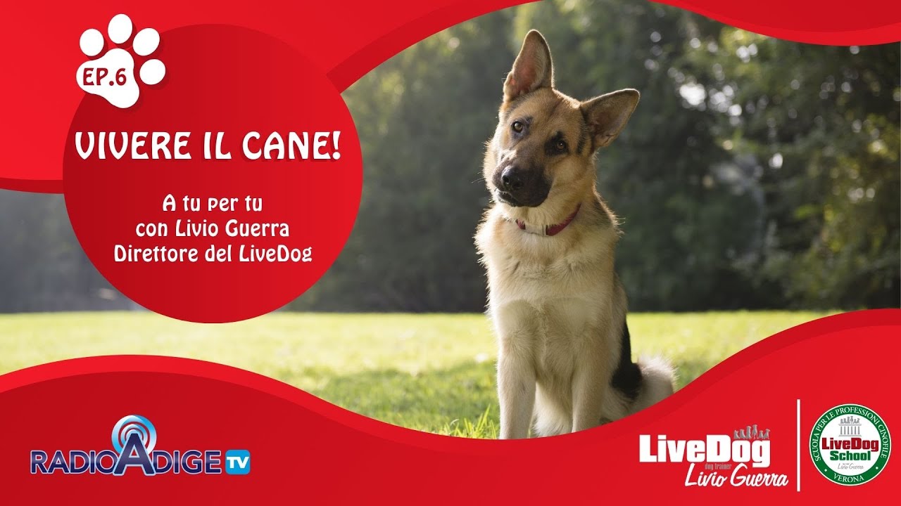 Descrizione dell'immagine